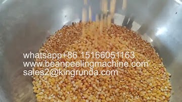 Stainless steel Grain sieving machine/Maize classifying screen/Grain grading machine