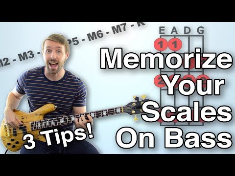 how-to-memorize-bass-scales:-three-tips-to-make-sure-you-never-forget-a-scale