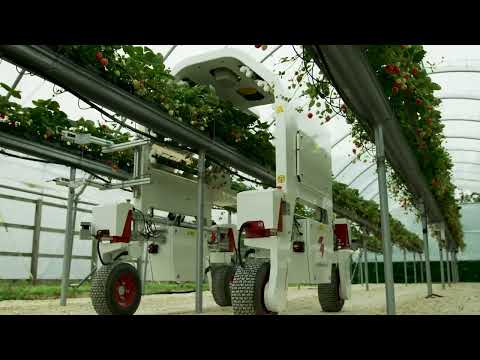 YouTube video for Lincoln Institute for Agri-Food Technology 
