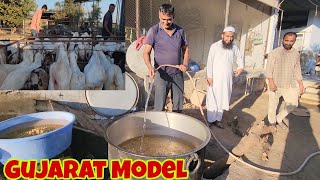 Goat Feed Preparation For Heavy Goats | Gujarat Model | Ajwa Goat Farm.