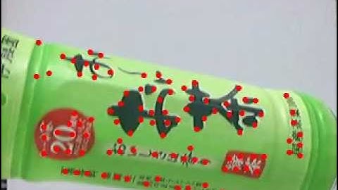 Robust Object Texture Tracking using Lucas-Kanade Algorithm