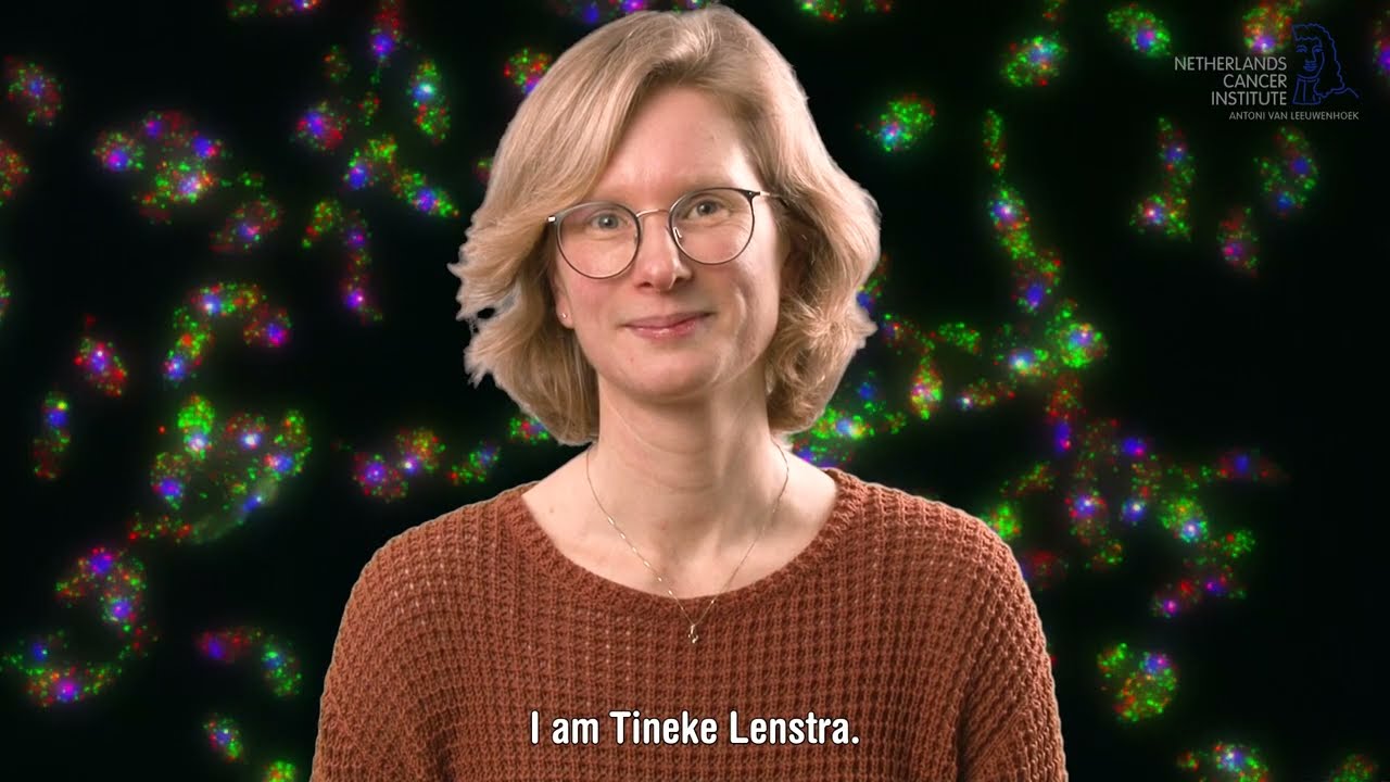 YouTube image