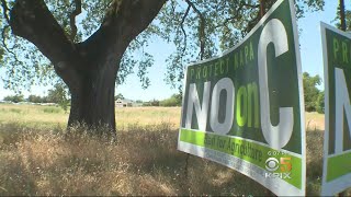 Measure C Pits Trees v Grapevines in Napa Wine Country