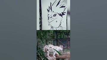 Todd/Tod/Tim/Tem and Call Explained | All comment Spam/Scam Bots (THEY