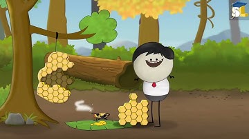 Why do bees build hexagonal honeycombs    #bees #honey #honeybee #honeycomb #science #education