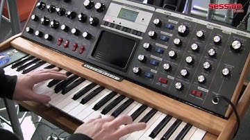 MOOG MiniMoog Voyager Performance Stage Edition