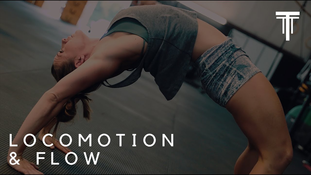 locomotion of bacteria Locomotion & Flow Playlist Intro (1/11) - TTT Movement Archive