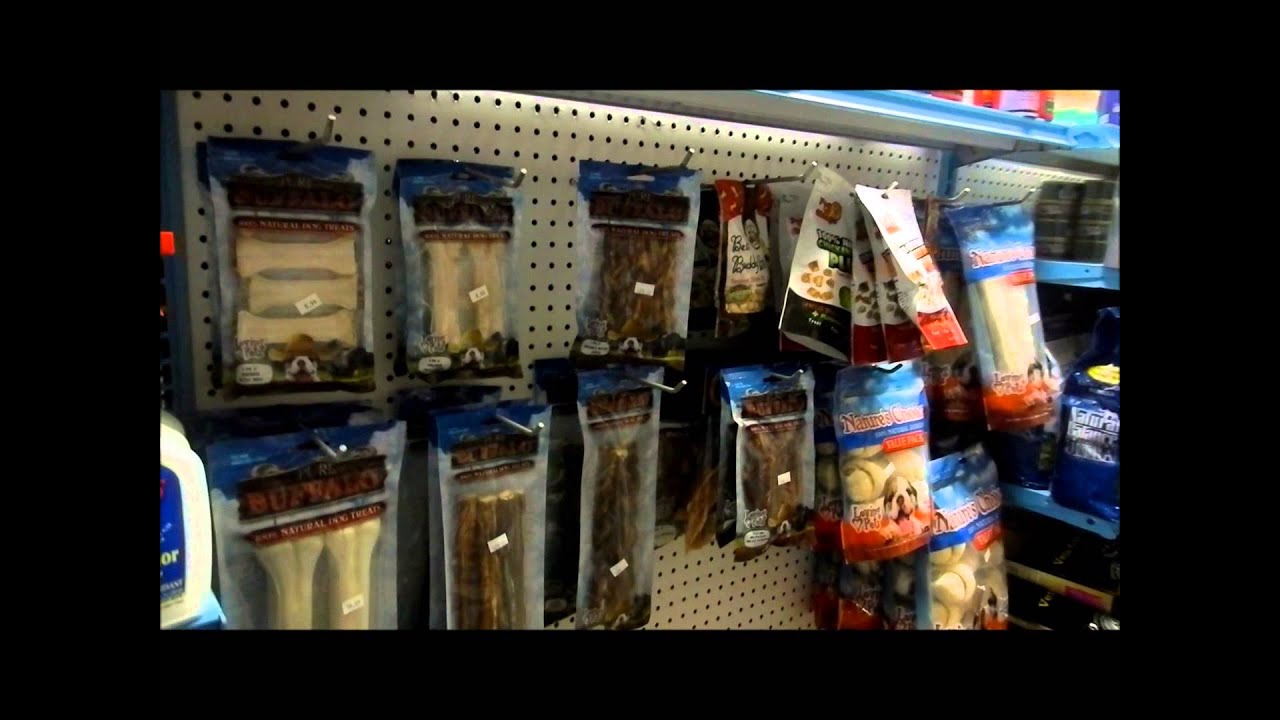 COLCHESTER PET ABOUT US YouTube