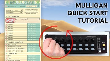 Mulligan – Quick Start Tutorial