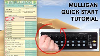 Mulligan – Quick Start Tutorial
