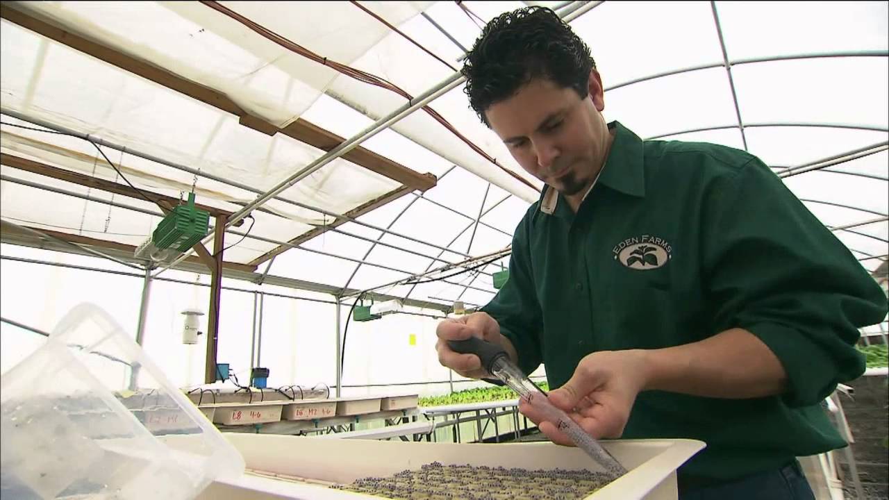 Eden Farms YouTube