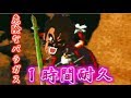 【一時間耐久】危険なパラガス