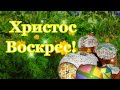 С Пасхой! Пусть сегодня войдет радость в сердце и дом! Христос воскрес! Музыкальная открытка