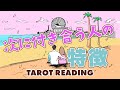 あなたが次に付き合う人の特徴当てます🦩🪺【タロット占い】有料個人鑑定級🌴いつ?どこで?どのように?出会い急接近していくのか全力リーディング❤️【3択占い】