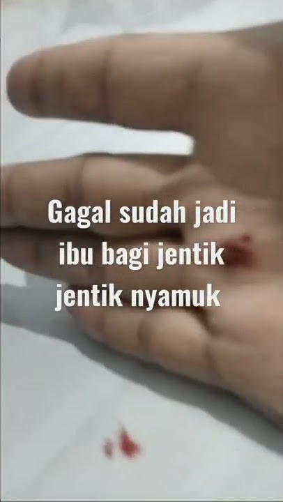 Pembunuhan sadis terbaru terekam kamera