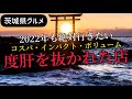 【茨城県】2022年も絶対行きたい度肝を抜かれたお店!! ダイジェスト!! ※過去動画から抜粋