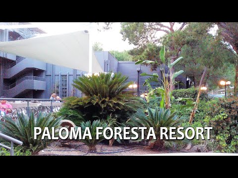 Video: Tijuana parimad hotellid