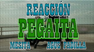 REACCIÓN A Mesita - PEGAITA ft Agus Padilla | XxJanfuadxX