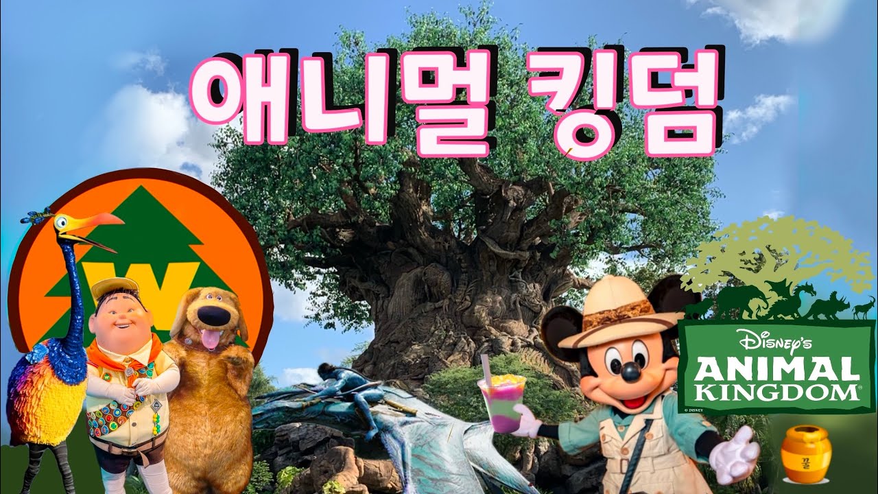 디즈니 월드 - 애니멀 킹덤 투어 및 꿀팁! Animal Kingdom 🍯 #애니멀킹덤 #디즈니월드 