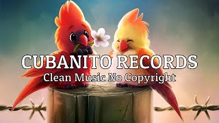 Paez - Delito [ Clean Music NO Copyright ] Resimi