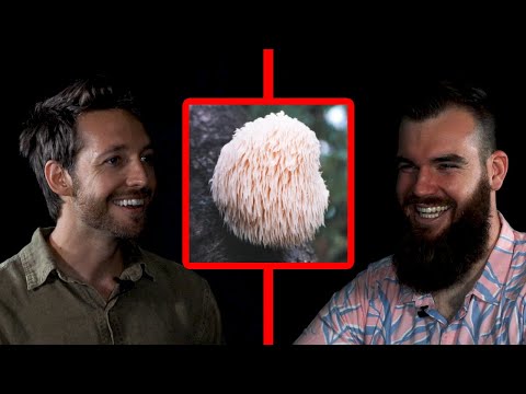 How Mushrooms Could Save Lives The Butterfield Effect Julian Mitchell