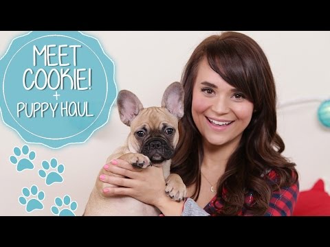 Meet Cookie Puppy Haul-11-08-2015