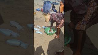 Fishing #song #tamilsong #youtubeshorts #travel