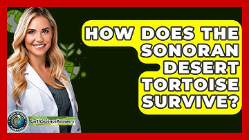 How Does The Sonoran Desert Tortoise Survive? - Earth Science Answers