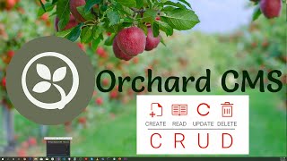 Orchard Core CRUD Operations with a Custom Content Type