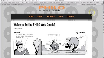 How to Add Noindex, Nofollow and Education Disclaimer to Your Website