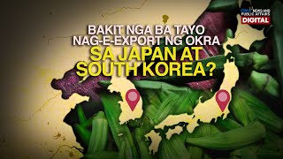 Bakit nga ba tayo nag-e-export ng okra sa Japan at South Korea? | Need to Know