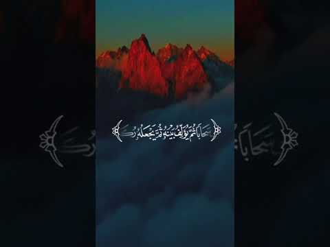 ألم تر أن الله يزجي سحابا ثم يؤلف بينه ثم يجعله ركاما سورة النور تلاوةخاشعة عبدالباسط عبدالصمد