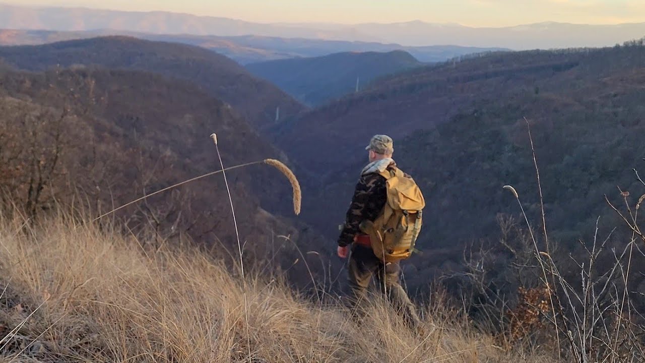 Boncanitul Cerbului in Romania/ Documentar- 2025