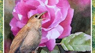 Zerrin Edemen __Bülbül Kasidesi