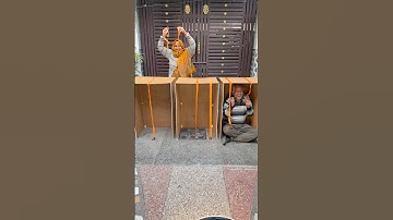 Choose the rope challenge so excited save it for later!! #funnyfamily