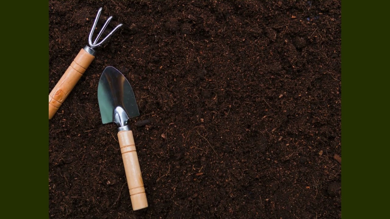 Alpharetta's Mulch Delivery Get the Secret to an Amazing Garden Now!