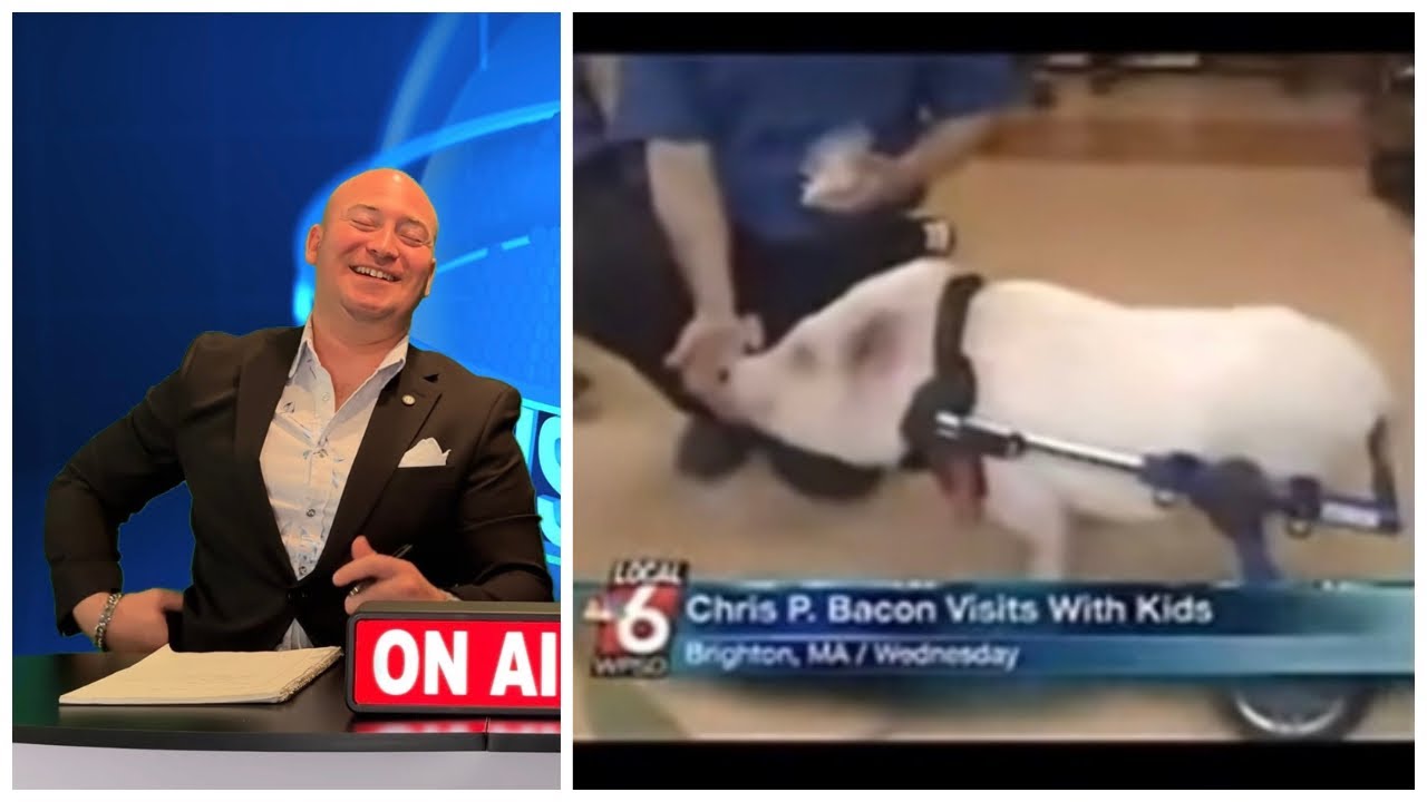 Поросенок на колесах, труп, вывалившийся из гроба, и многое другое | Новости от Two Bald Dudes