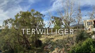 anza terwilliger cabin