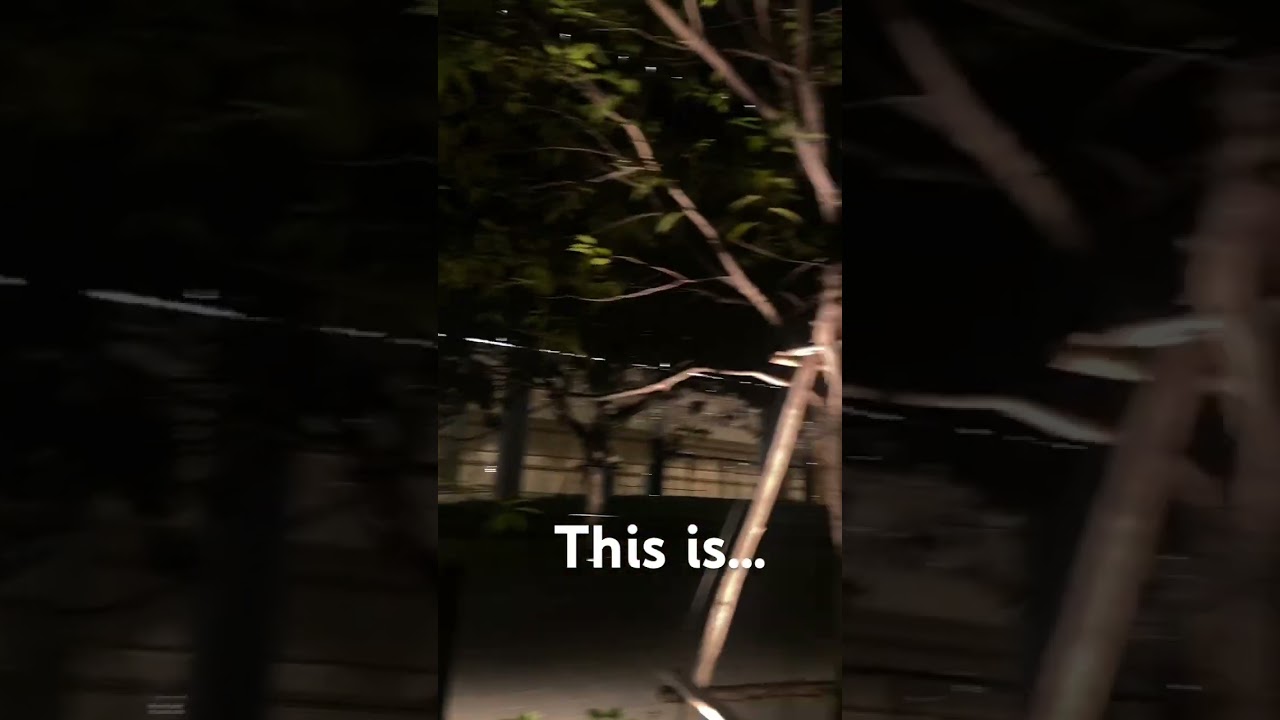 Queen SiriKit National Convention Center 