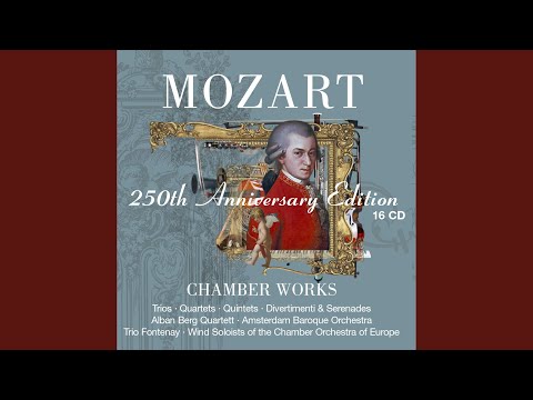 Serenade No. 7 in D Major, K. 250 "Haffner": VI. Andante