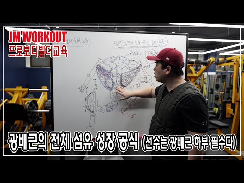 광배근의 전체 <strong>섬유</strong> 성장 공식 ( 선수는 광배근 하부 필수다 ) - 프로보디빌더 교육 - JM WORKOUT