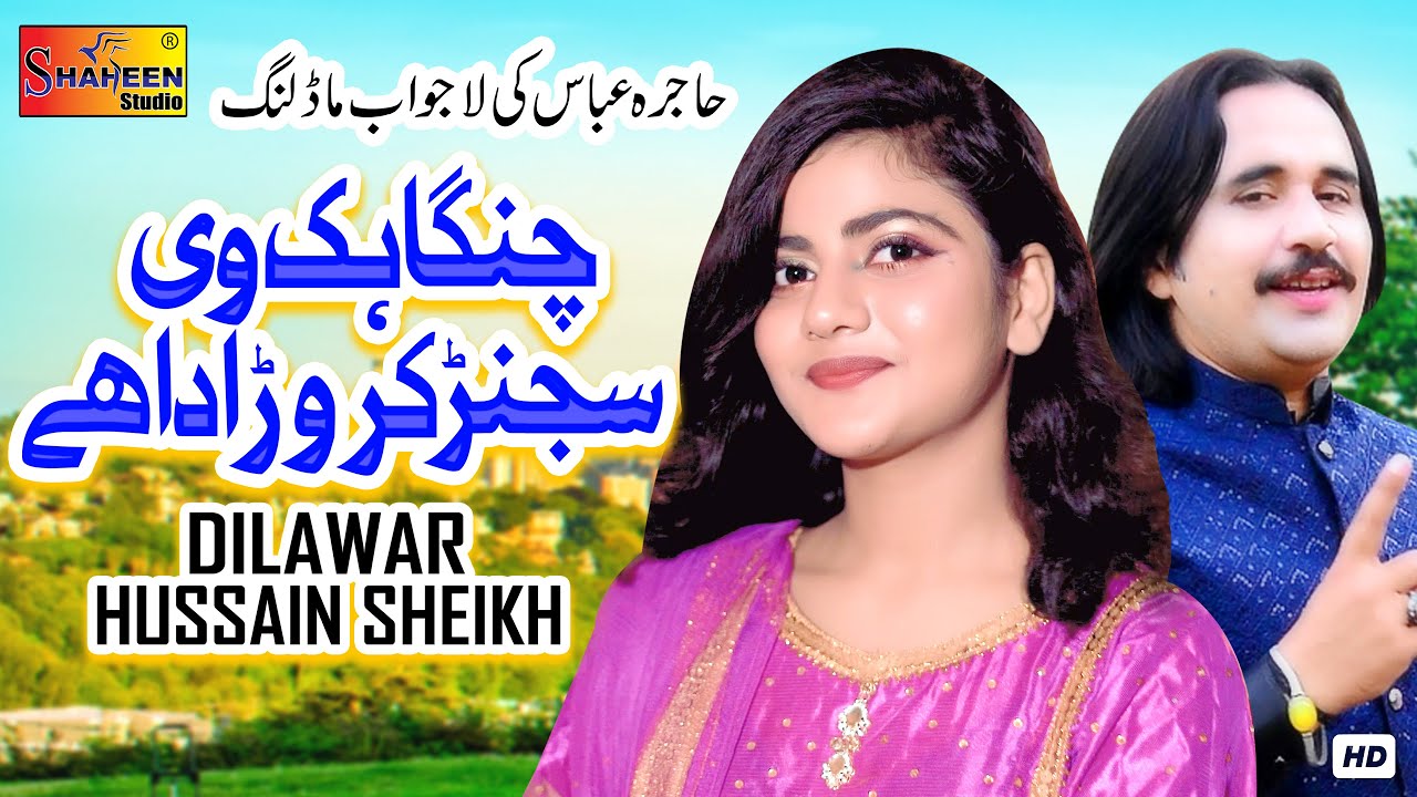Changa Hik Ve Sajanr Karor Da Hay | Dilawar Hussain Sheikh | ( Official Video ) | Shaheen Studio