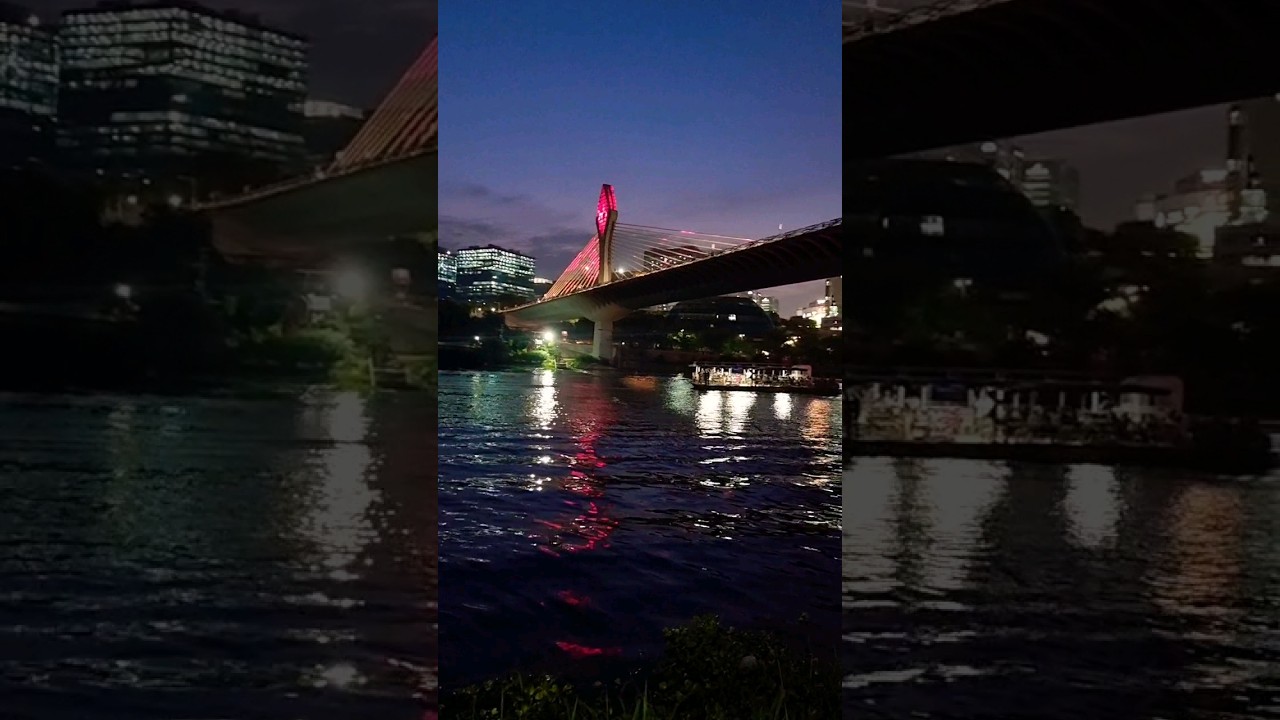 Durgam Cheruvu Cable Bridge | Madhapur | Hyderabad 