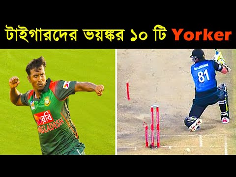 ভিডিও: ২০২২ সালের ৮ জন সেরা গলফ চালক