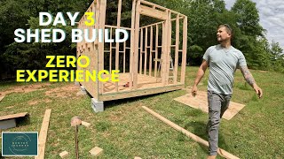 : ZERO EXPERIENCE | Day 3 | DIY 10x12 Shed build | going to war with a wasp?