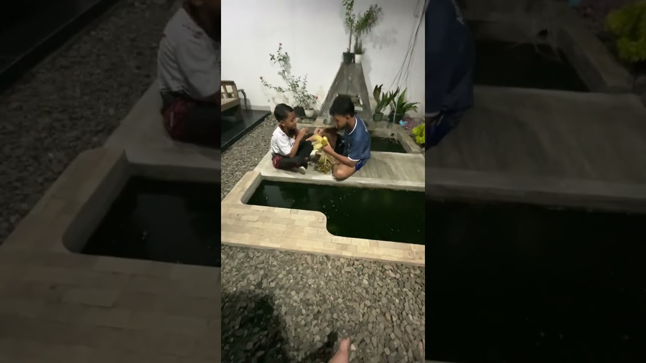 DD, Makan Kacang n Jagung di pinggir Kolam Ikan Hias Koi #shorts