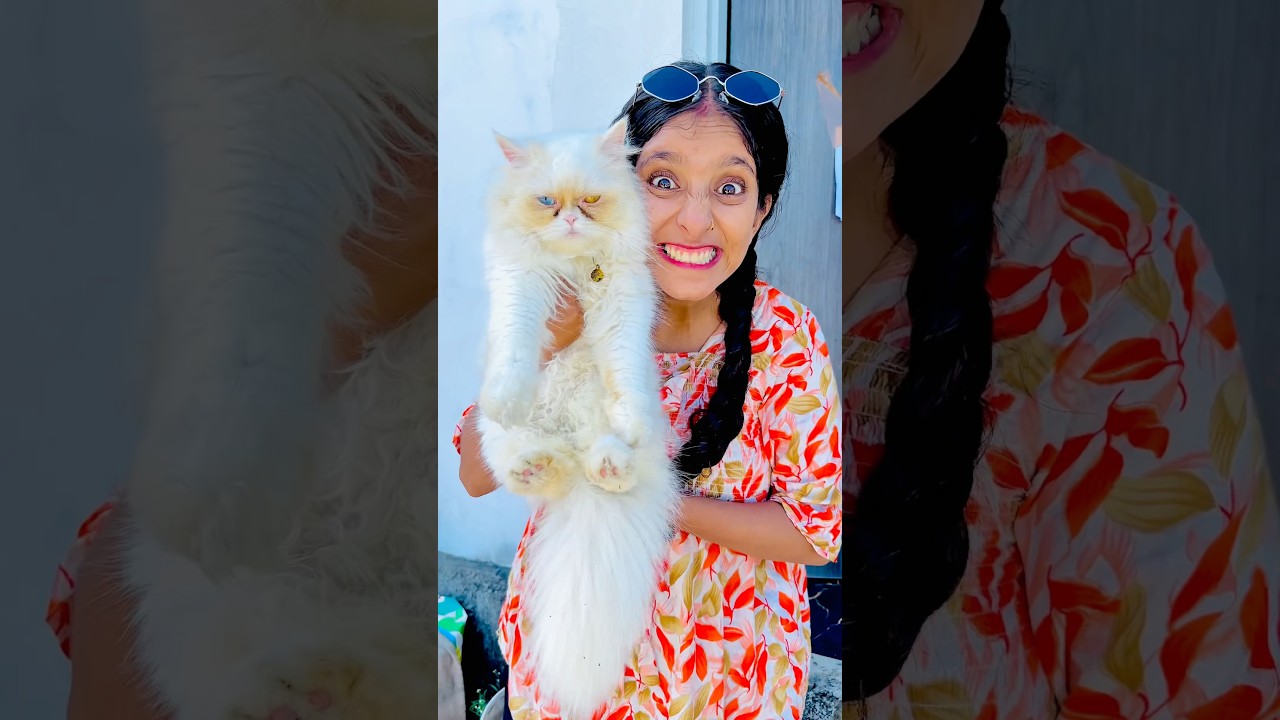 New cat copycat 😱🐈 | Mini Vlog #shorts #minivlog #ashortaday #vlog #trending #cats #cat