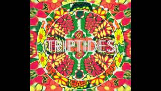 Triptides Akkorde