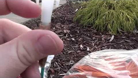 Ematch To Visco Setup