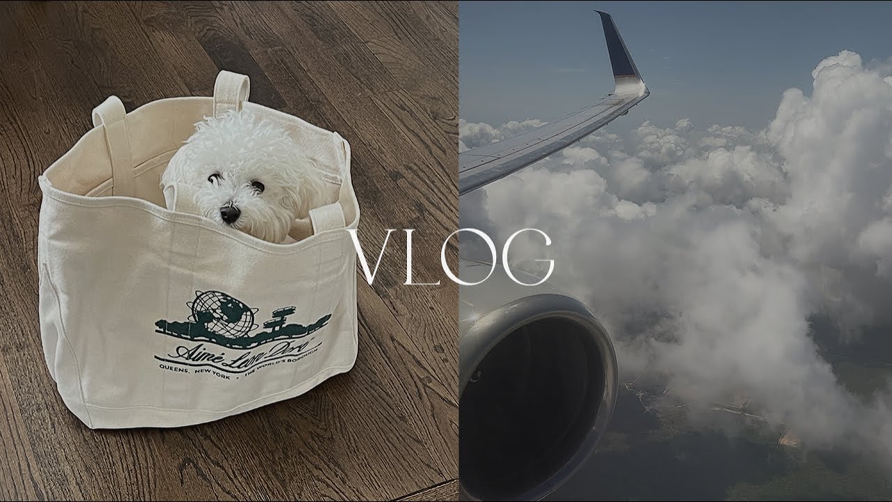 VLOG: WADE'S FAVORITES, CLEANING, PACKING, & LEAVING FOR A TROPICAL VACATION.